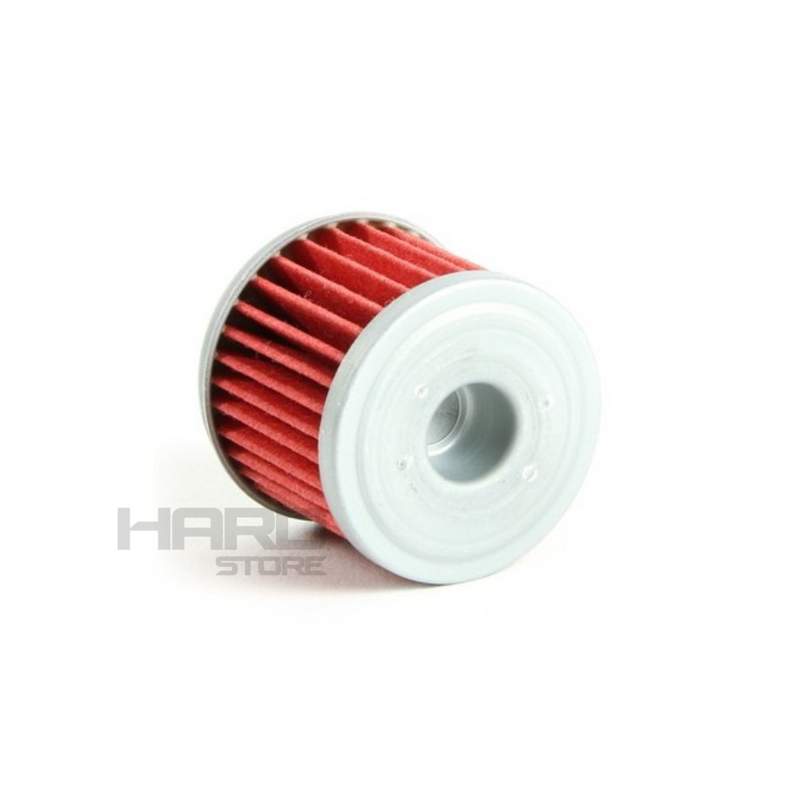 Filtro Aceite Moto Honda CRF 250 RX 19-22 / HUSQVARNA TE 250 '10-13  PRO-X 54.13116