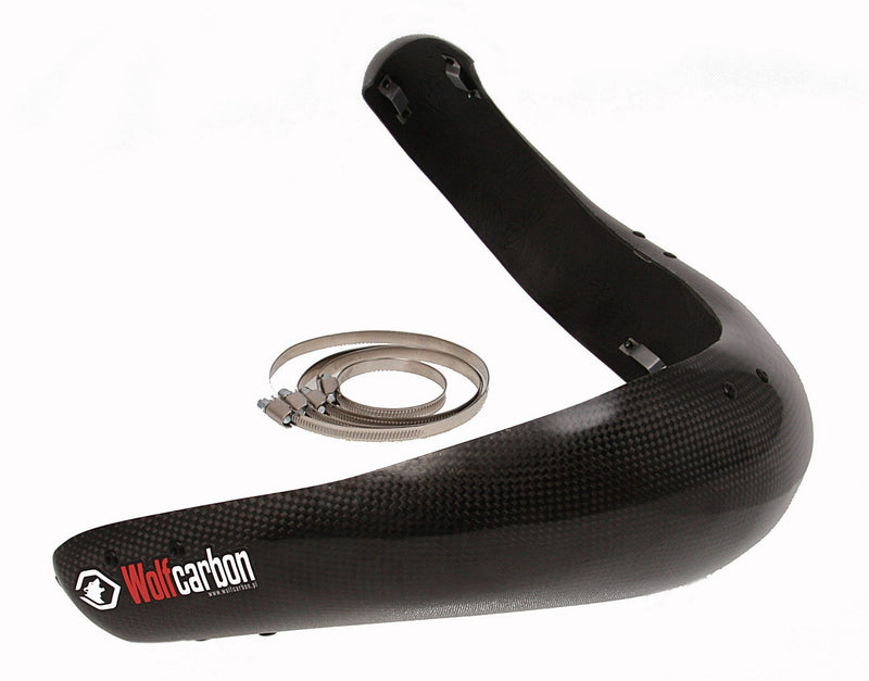 Protector de pipa de carbono Beta 250/300cc RR  2014-2024